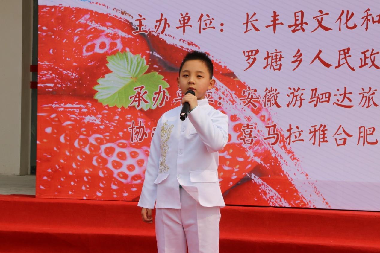 合肥疫区，一座城市的静默与喧嚣