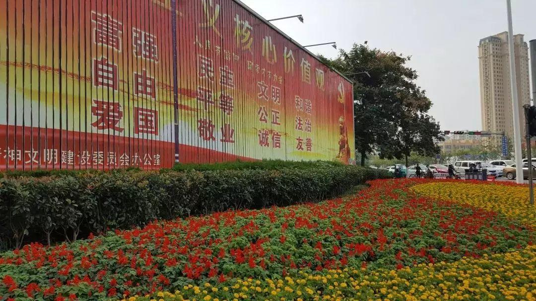 福州上海路疾病预防控制中心，城市健康防线的幕后英雄