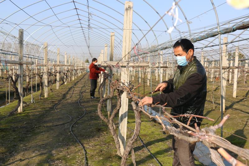 合肥市最新防疫政策,科学精准防控背后的人性化温度 合肥市最新防疫政策,科学精准防控背后的人性化温度
