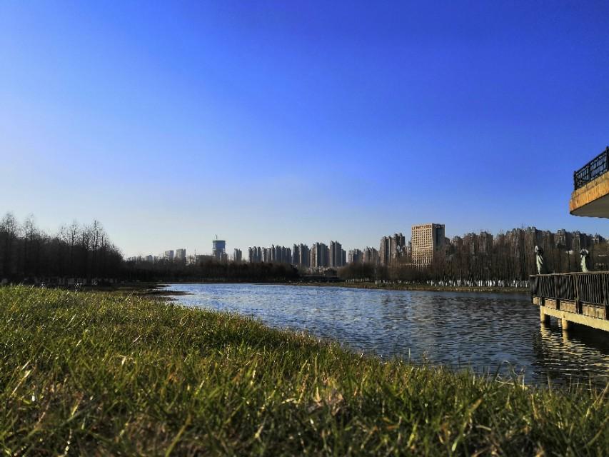 上海市疫情发布官网与合肥新闻，信息透明与地方媒体的双重叙事