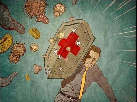上海疫情动态，一座超级城市的免疫系统如何应对病毒入侵？