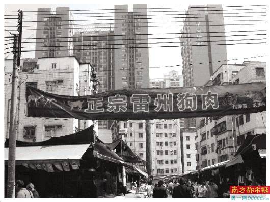 上海市南宁区，一场被遗忘的行政错位与城市记忆的博弈