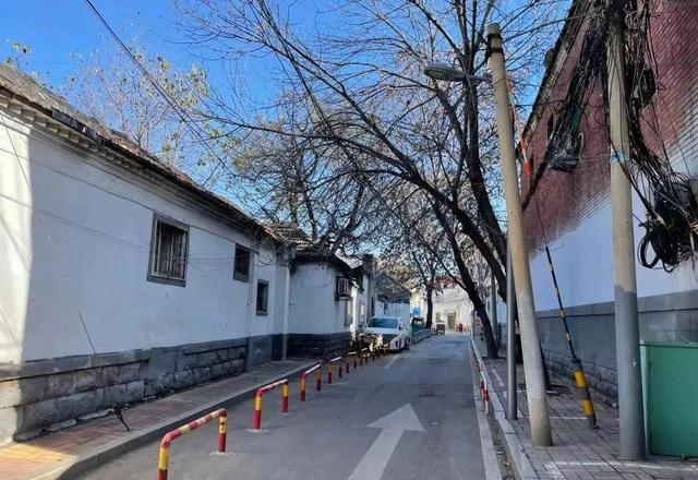 济南路疫情启示录，一条老街的免疫系统如何被激活？