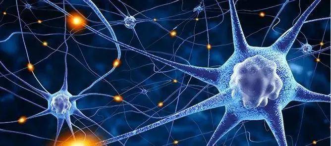 疫情下的主任们，上海抗疫中的权力毛细血管与人性褶皱