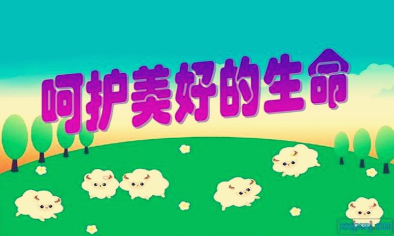 浙江省石家庄输入，一场跨越千里的错位对话
