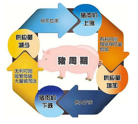 独家浙江疫情隐形传播链浮出水面,这些反常数据暗藏玄机! 独家浙江疫情隐形传播链浮出水面,这些反常数据暗藏玄机!