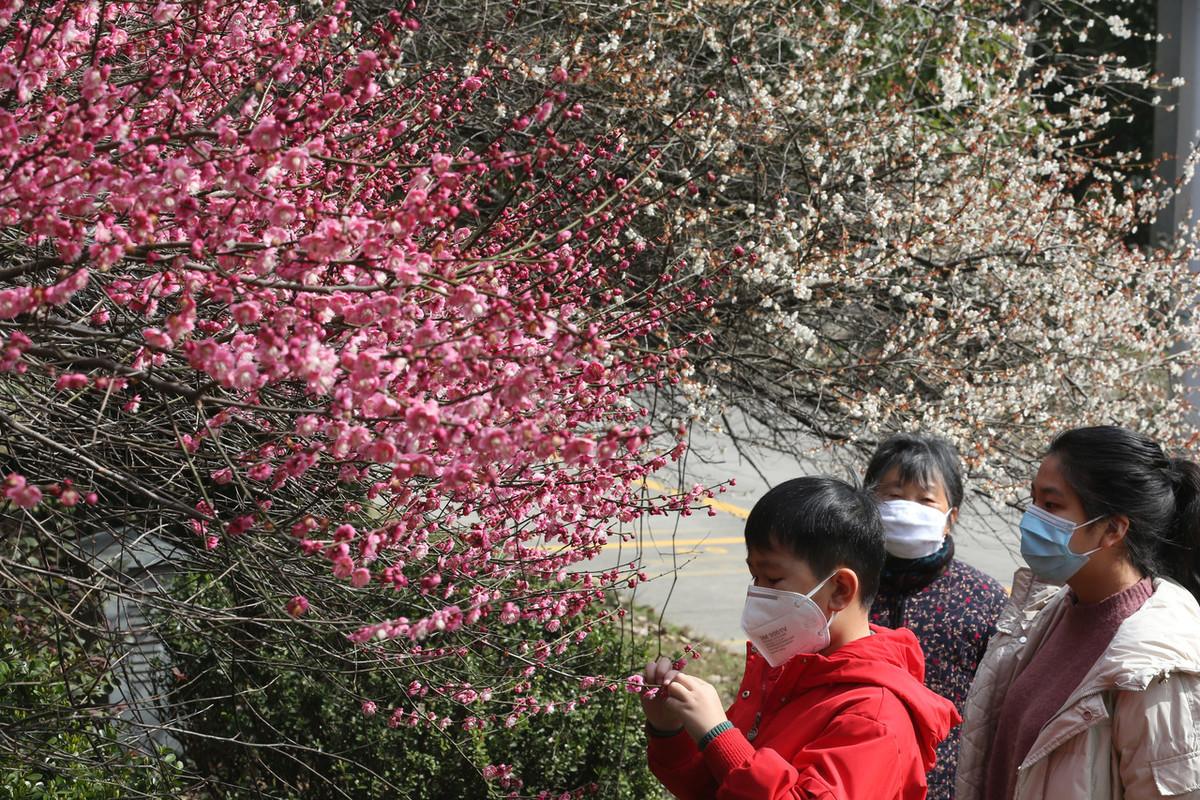 浙江疫情报告背后，数据之外的人间温度与治理密码