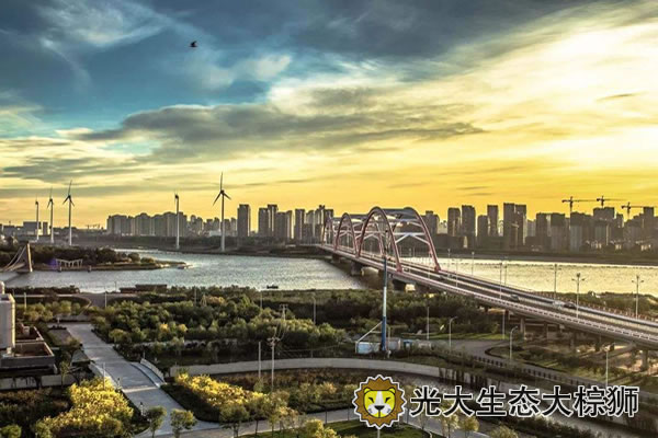天津疫情是否封城，一场被数字遮蔽的城市生存实验