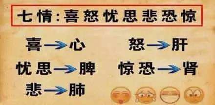 哈尔滨中医堂，冰城里的慢郎中，如何用百年老方熬煮现代焦虑？