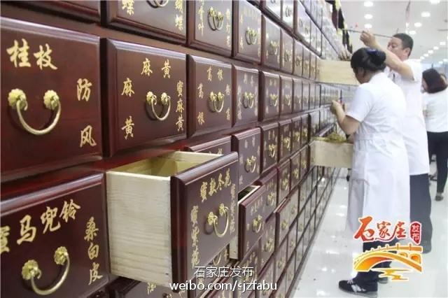 河北石家庄中医堂，被遗忘的药都如何用千年智慧对抗现代焦虑？
