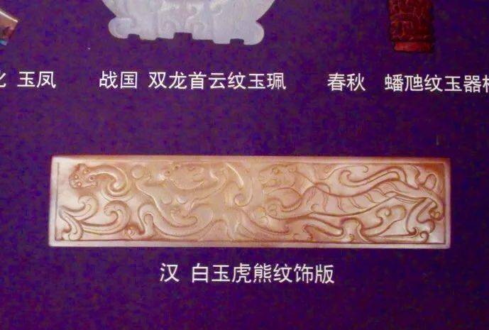 独家揭秘天津藏医堂，一座被遗忘的雪域药库，藏着多少不为人知的秘密？