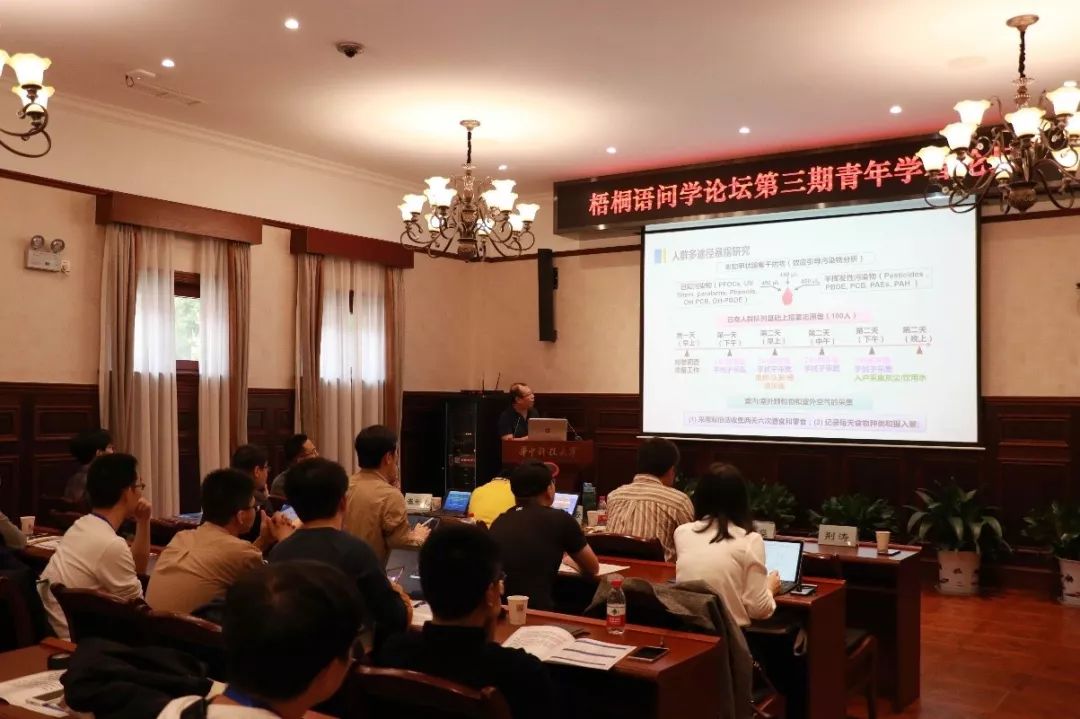 上海中医药专家揭秘，梧桐树下的千年智慧与未来革命