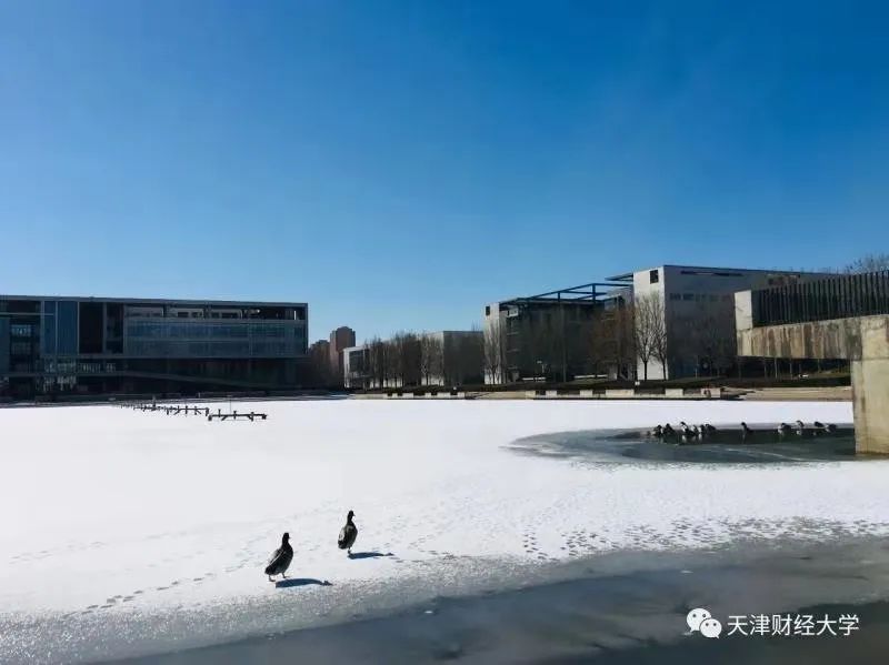 爆冷背后，天津财经大学如何用冷板凳精神改写高校竞争规则？