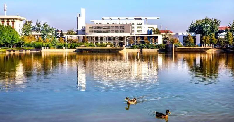 天津财经大学事件，当象牙塔遭遇信任危机，我们如何重建学术共同体？