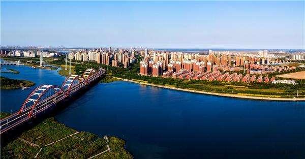 天津市场监管局官网，企业合规经营的数字导航仪