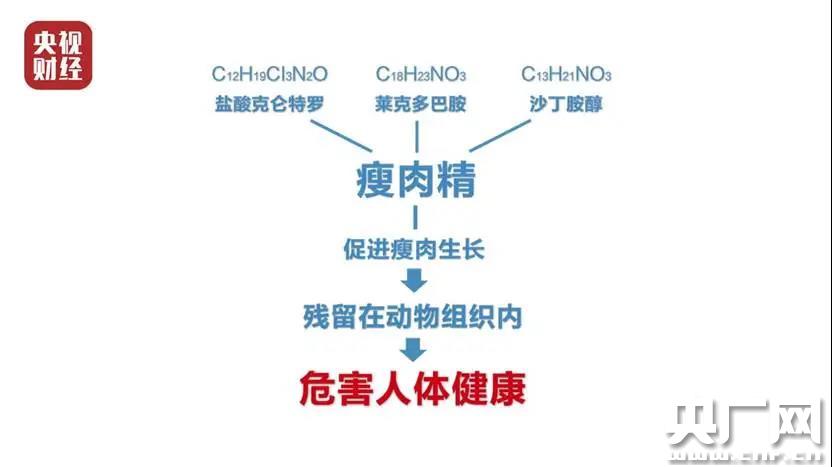 天津市场监管总局电话背后，一个号码如何撬动整座城市的信任支点？