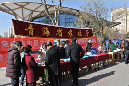 山西疫情官网与西宁最新动态，两地防疫措施对比与未来展望