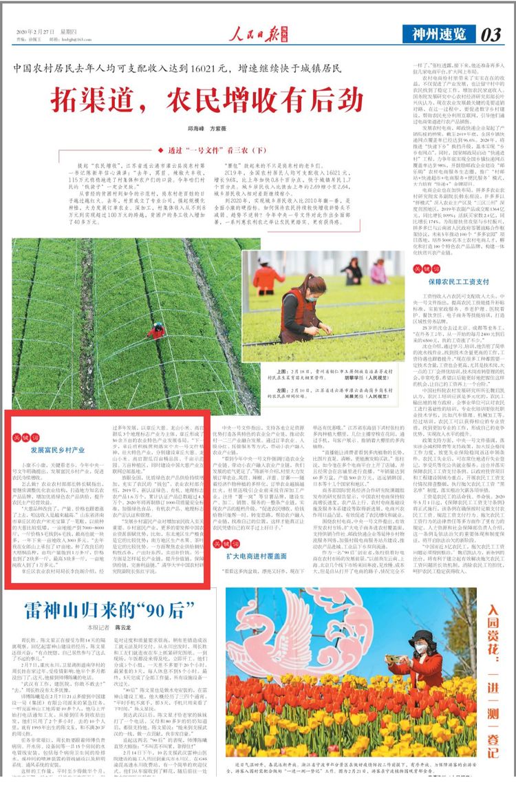 独家黑龙江省意情最新动态，政策调整背后的深层逻辑与民生影响