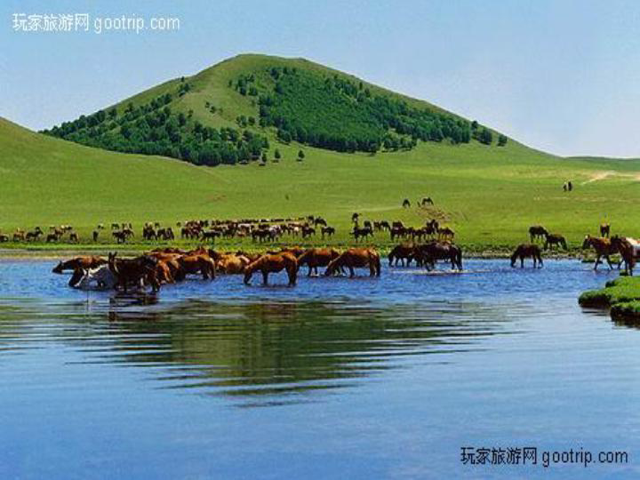呼和浩特防疫管控，一座草原之城的静默与突围