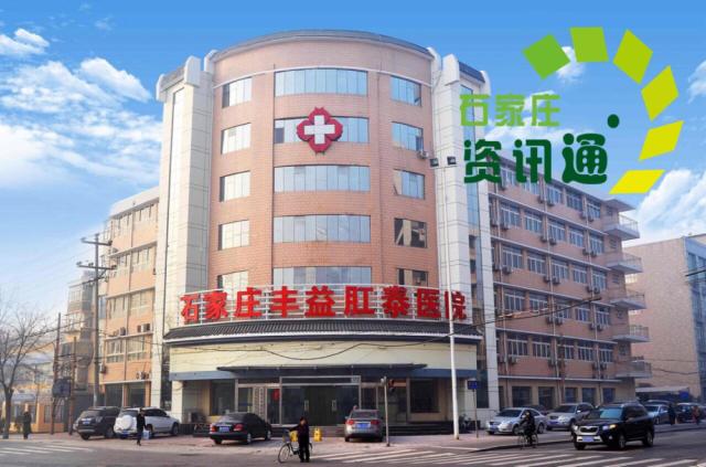 石家庄省医院咨询台电话，一个数字背后的生命交响曲