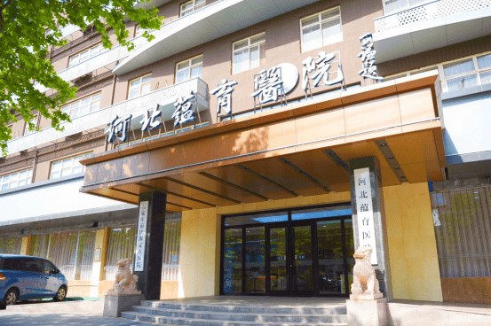 石家庄省医院咨询台电话，一个数字背后的生命交响曲