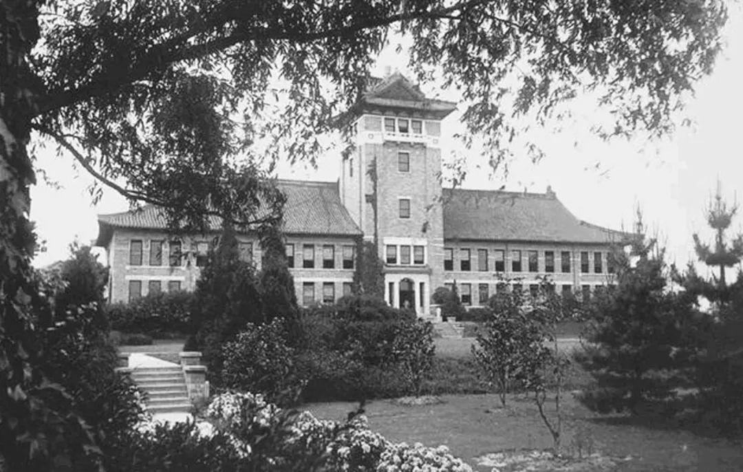 南京大学入海，象牙塔的消逝与知识海洋的重生