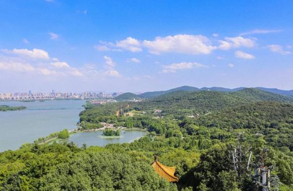 南京与广州，两座城市的疫情叙事，为何如此不同？