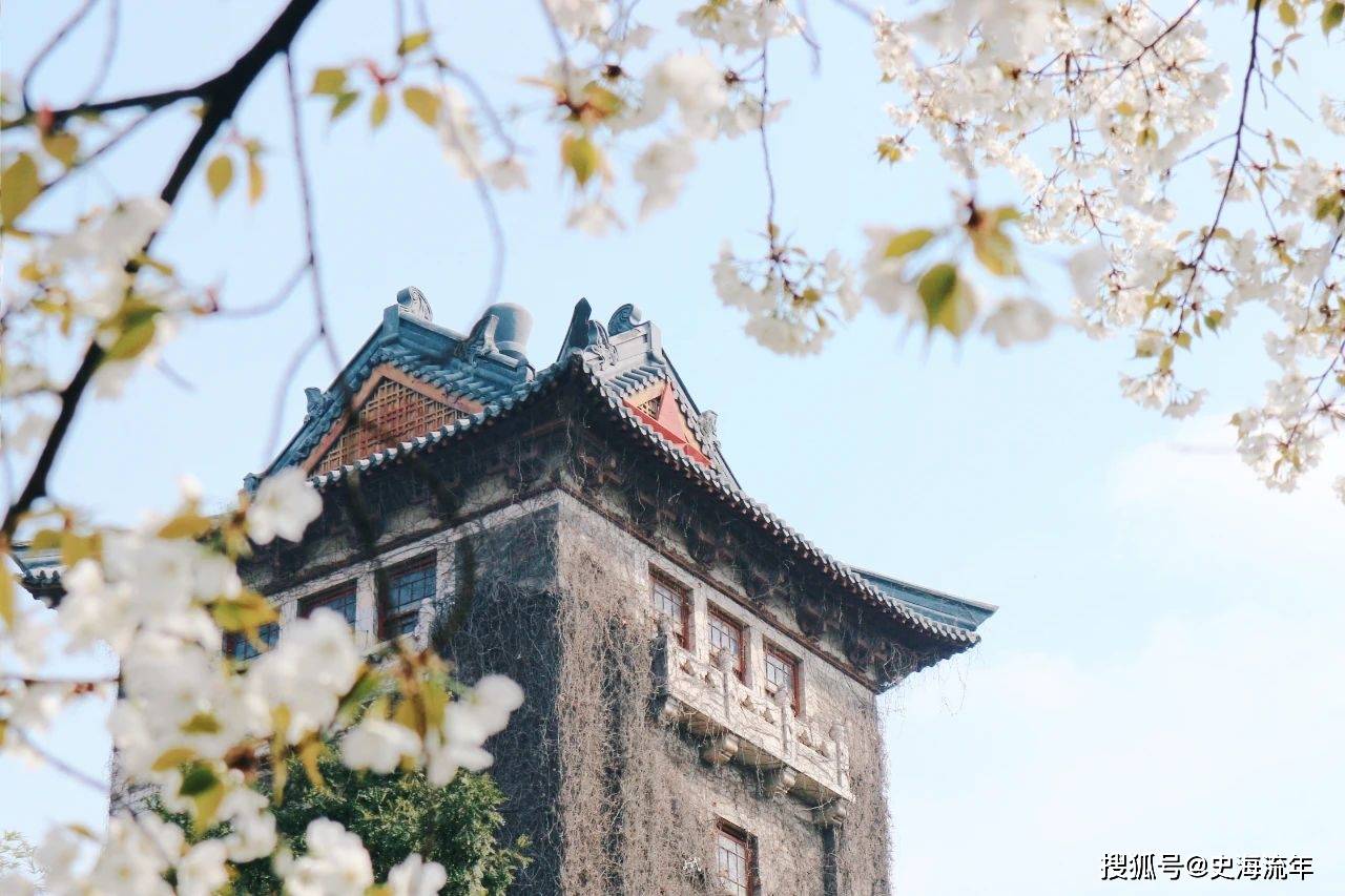 疫情三年，我的南京大学入校申请成了电子漂流瓶