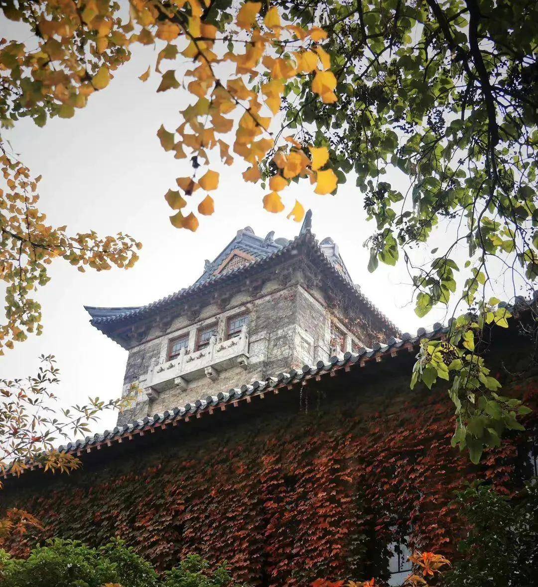 疫情三年后，我偷偷潜入了南京大学—那些被遗忘的校园密码