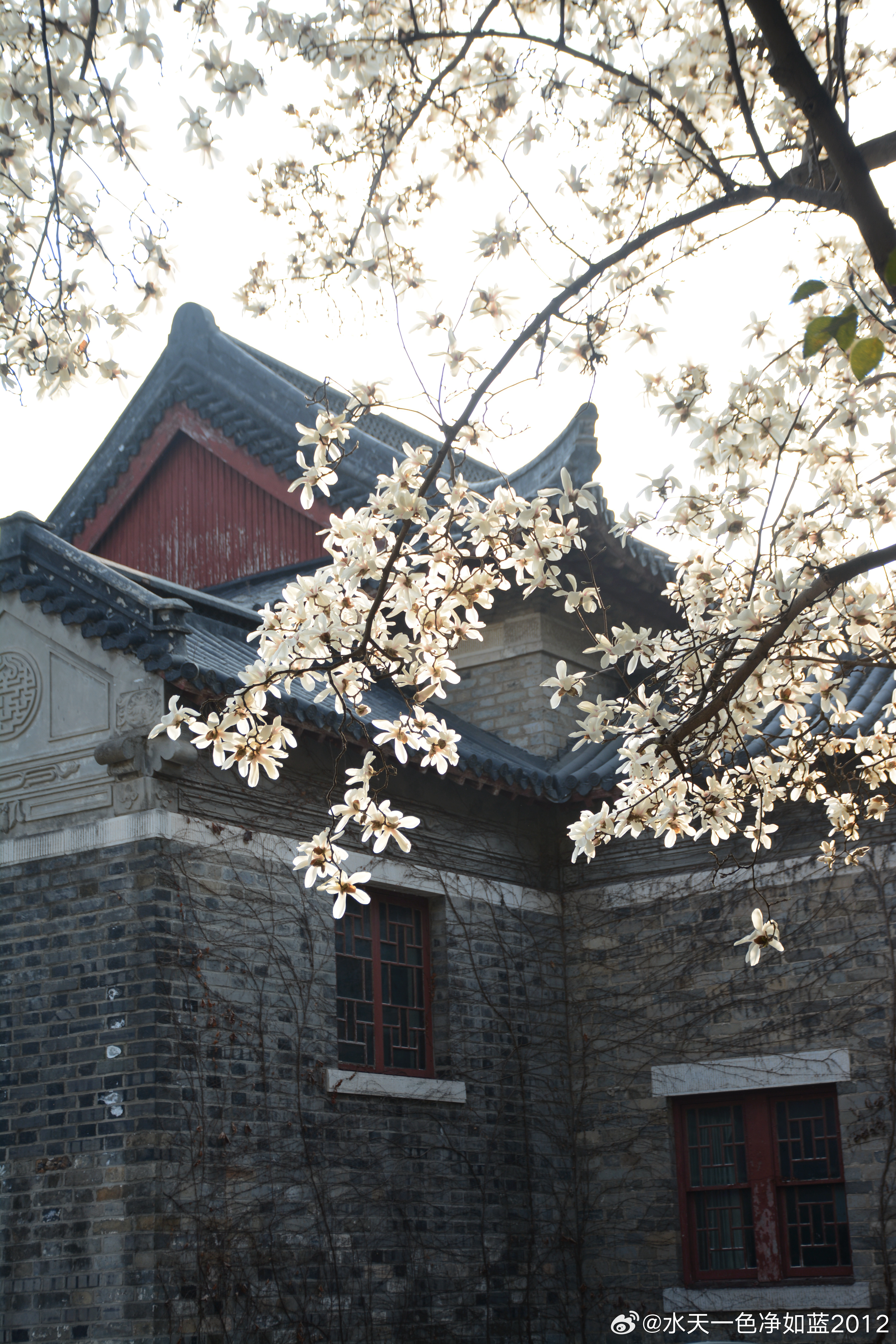 疫情三年后，我偷偷潜入了南京大学—那些被遗忘的校园密码