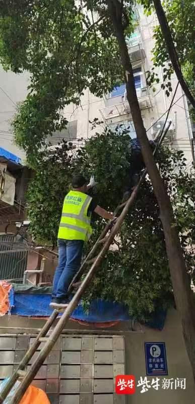 独家解读2020年南京物业费新规，业主必知的7大隐藏条款与维权指南
