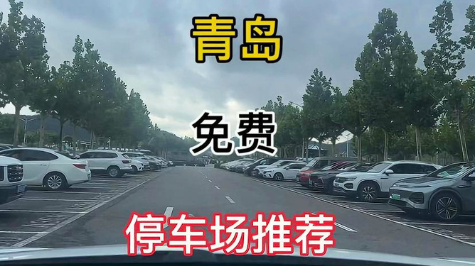 疫情下的城市停车博弈，沈阳智慧停车暂停背后的全国停车治理困境