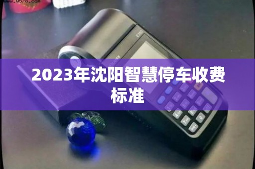 沈阳智慧停车收费揭秘，一天最高多少钱？车主必看的省钱攻略