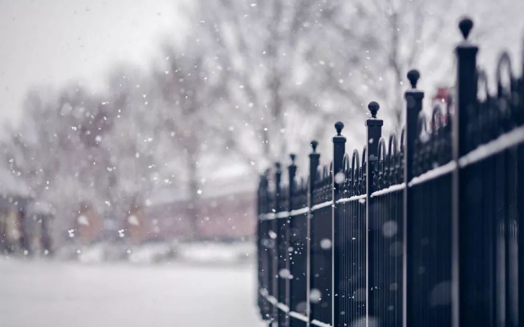 15天后，北京的风会吹散沈阳的雪吗？一场跨越时空的天气与疫情对话