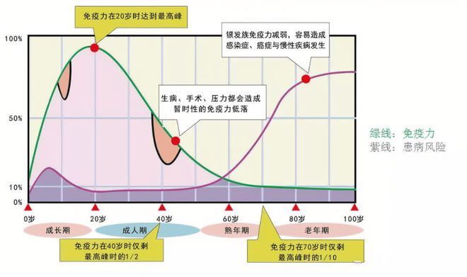 沈阳抗疫启示录，一座工业重镇的免疫系统是如何升级的？