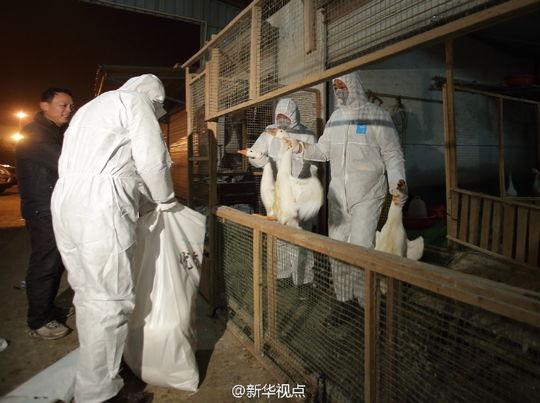 南京疫情VS武汉疫情，一场跨越500天的同与不同战疫启示录